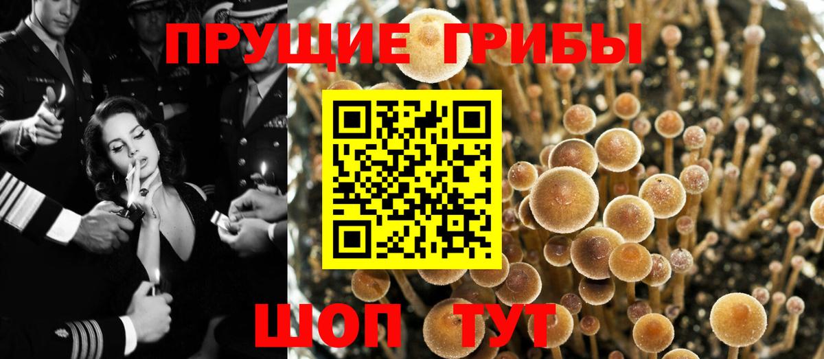 Псилоцибиновые грибы прущие грибы Химки