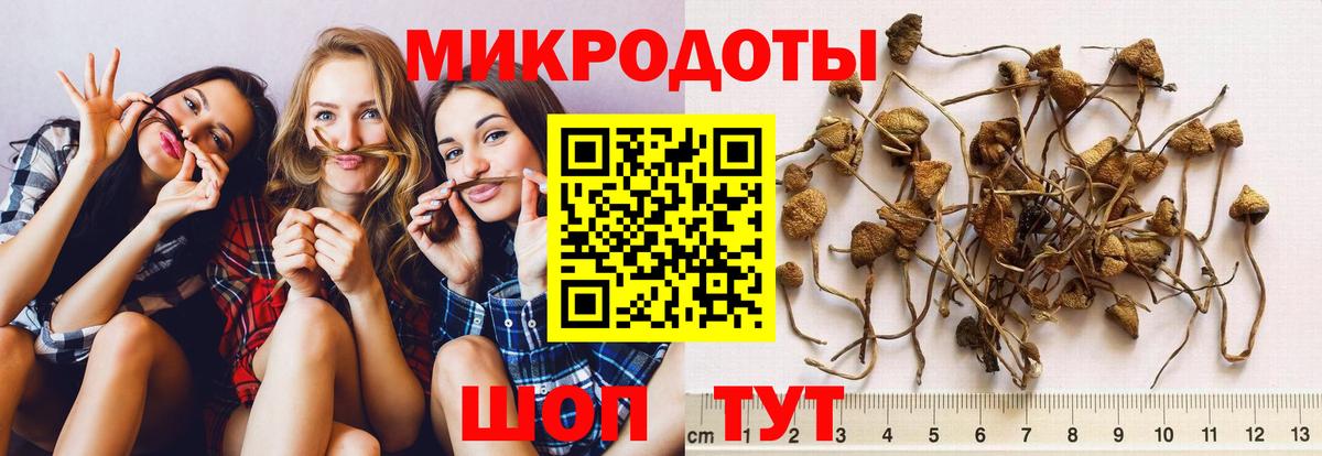 A PVP СК кристаллы  Кодеин  Химки  МЕФ кристаллы  Вход с VPN  MDMA  ГАШ  Гашиш  Каннабис 