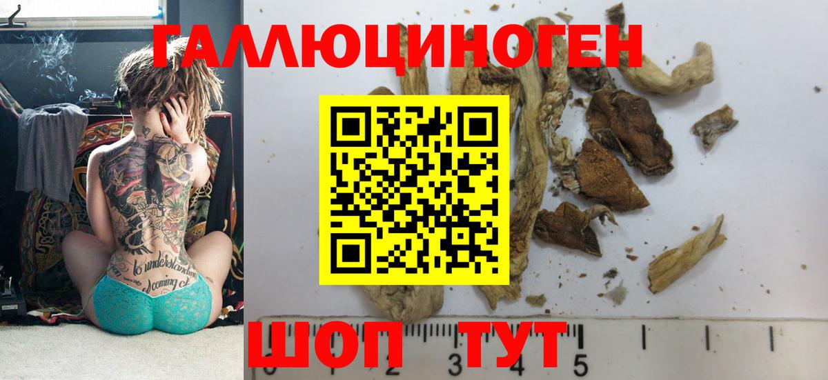 Химки  Псилоцибиновые грибы MAGIC MUSHROOMS  Вход с VPN  Псилоцибиновые грибы мухоморы 